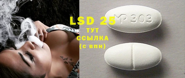 apvp Бородино