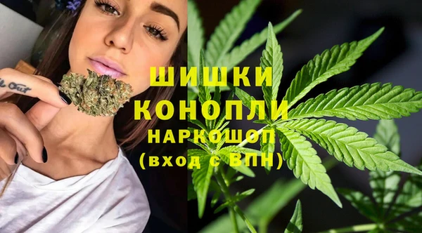 apvp Бородино