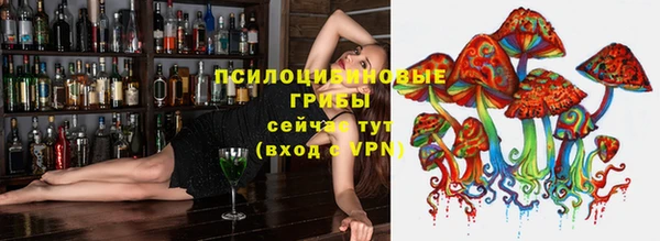 apvp Бородино